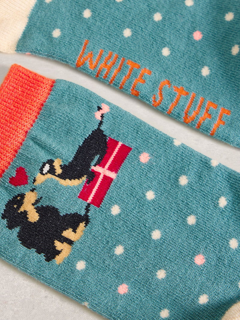White Stuff 444801 Xmas Dog Sock In A Cracker